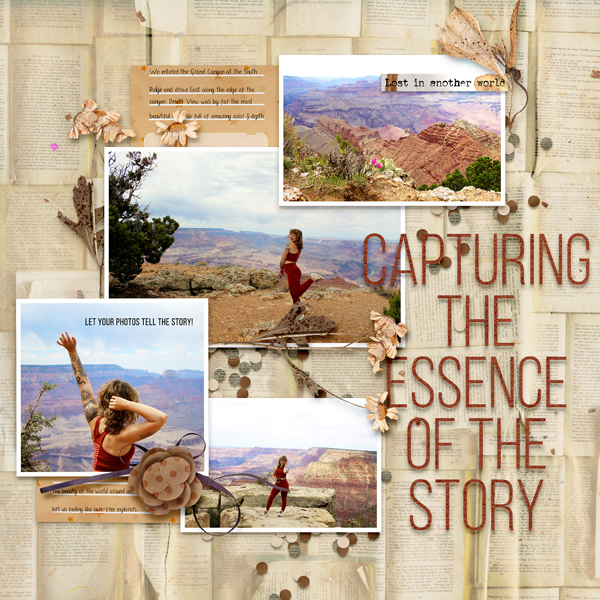 Capture the Essence of the Story