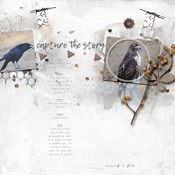 Capture the Story