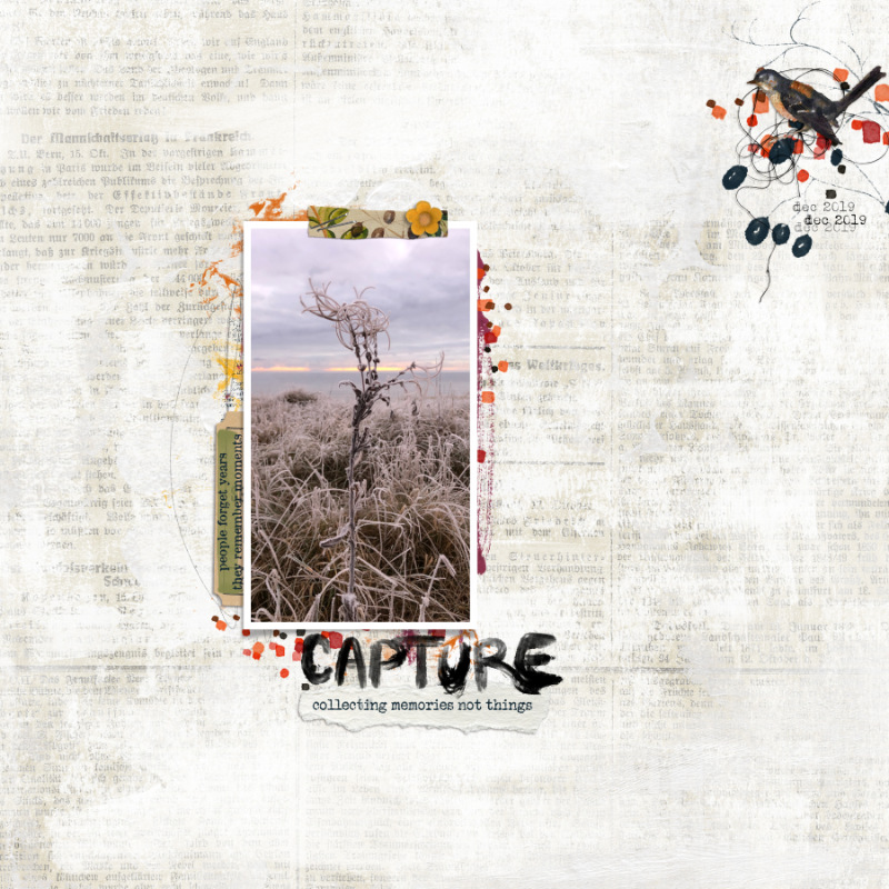 Capture