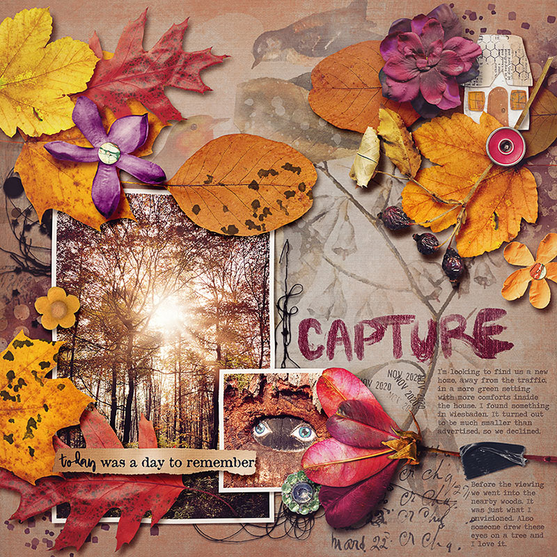 Capture