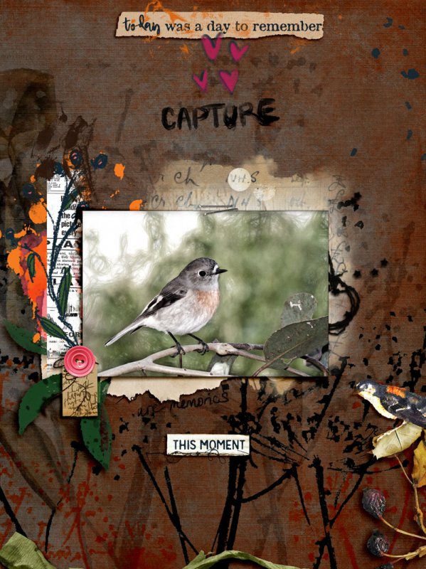 Capture