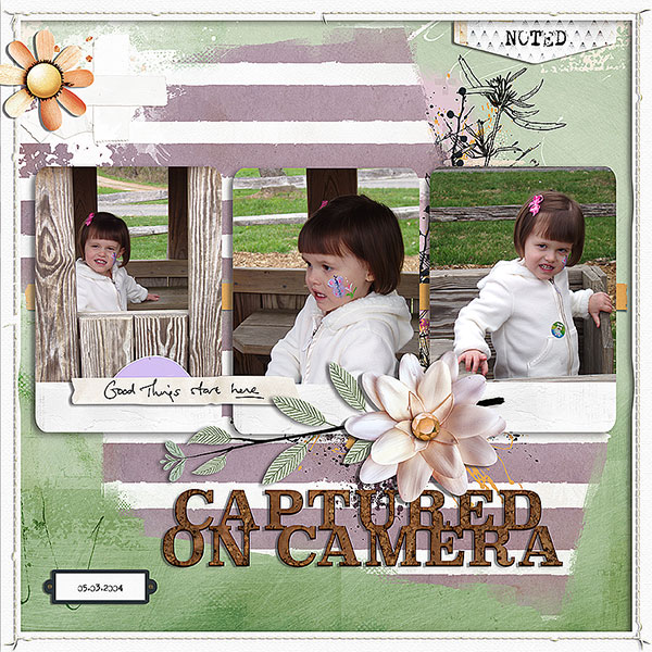 captured on camera