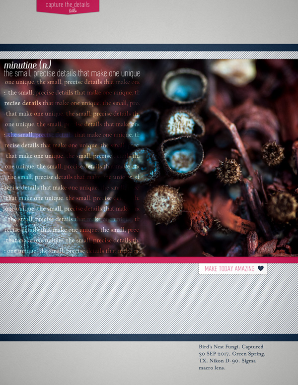 CapturedDetails