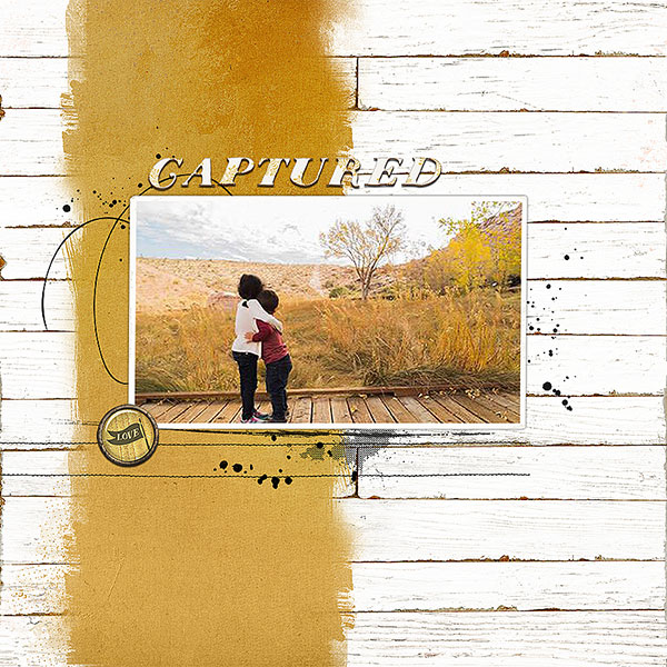 CaptureWeb