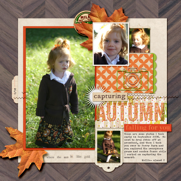 Capturing Autumn