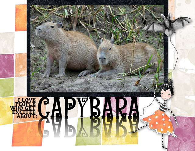 CAPYBARA