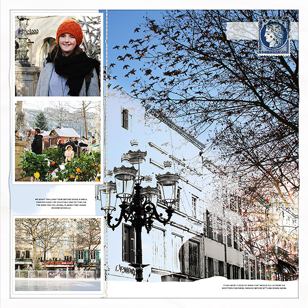 Carcassonne in Winter