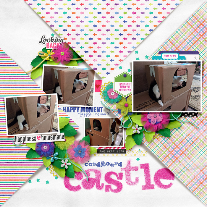 Cardboard Castle
