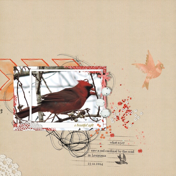 Cardinal