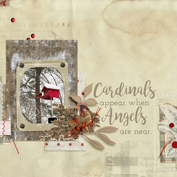 Cardinals