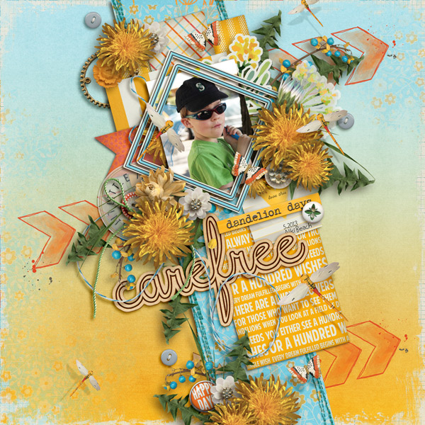 Carefree_connor_2013_