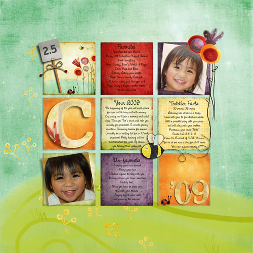 Carissa's 2009