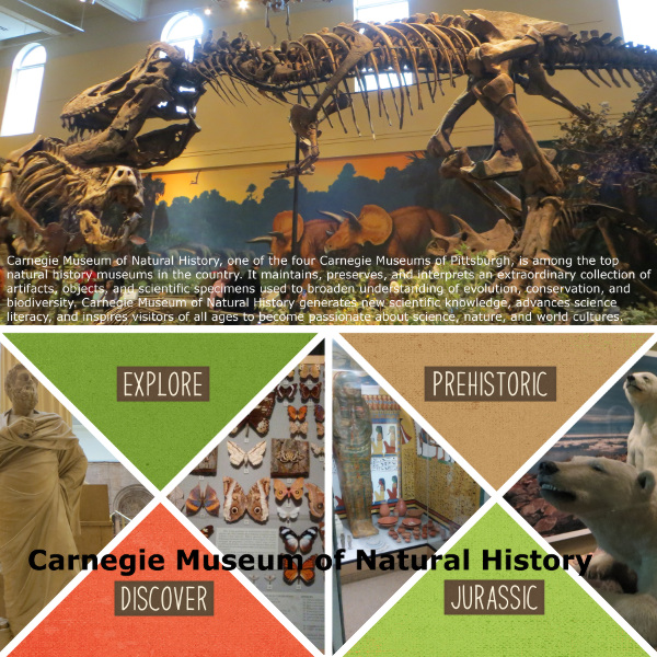 Carnegie Museum of Natural  History
