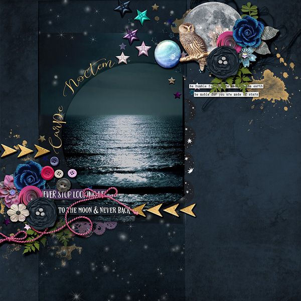Carpe Noctem