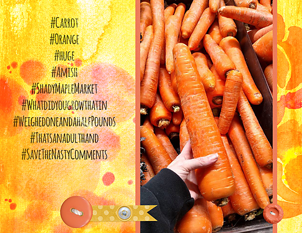 Carrot-copy