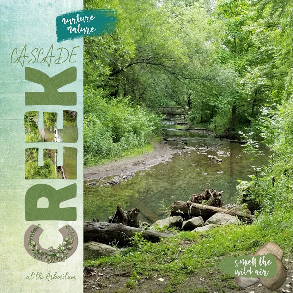 Cascade Creek At The Arboretum