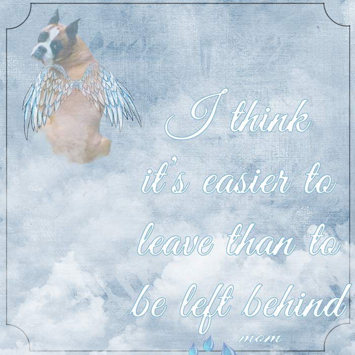 Casey-Angel---random