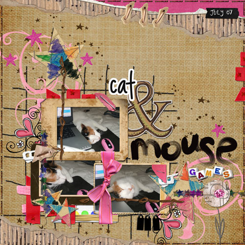 cat and mouse games