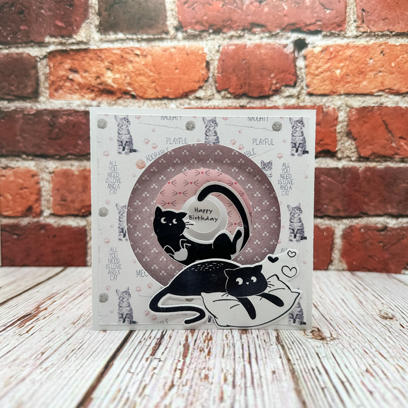 Cat Card for Maddie
