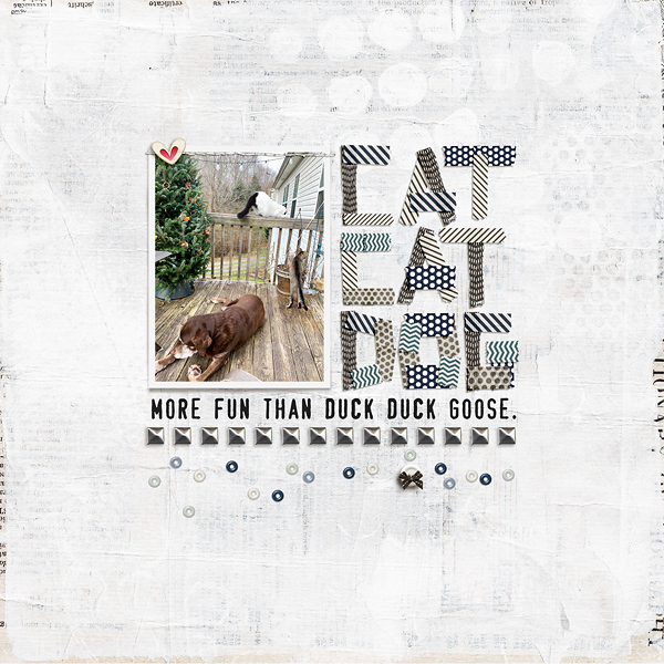 Cat Cat Dog