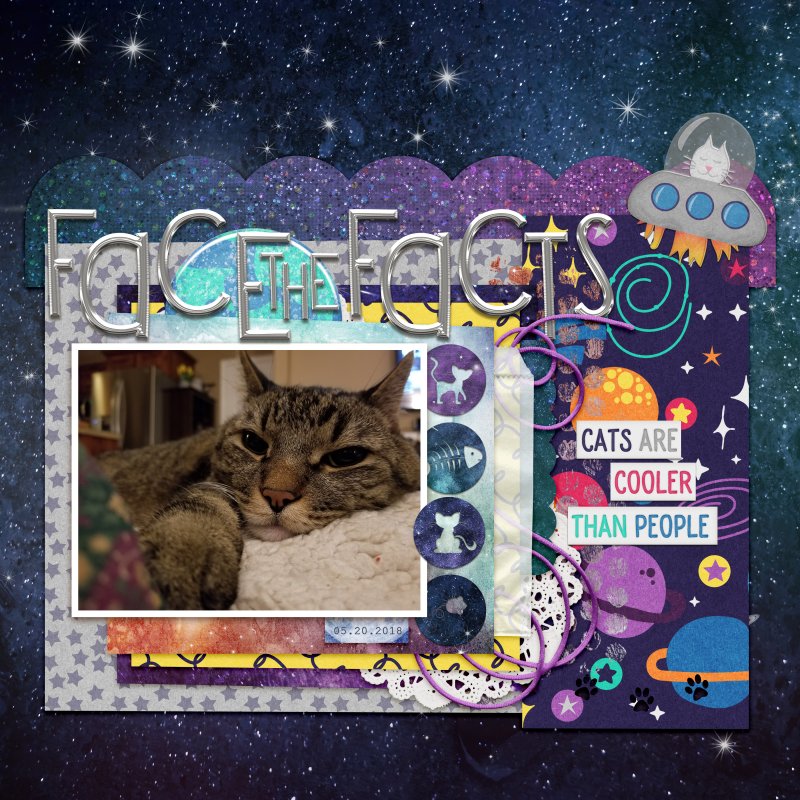 cat facts