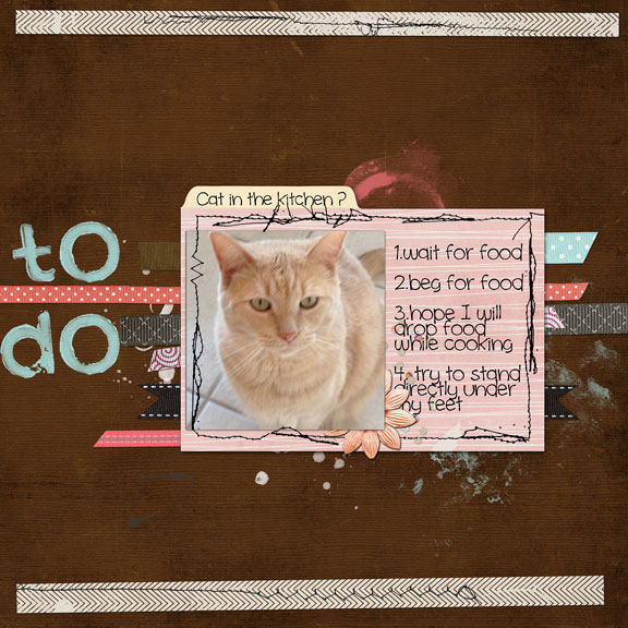 Cat in the Kitchen?