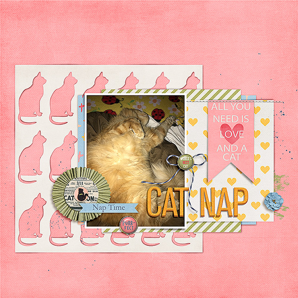 Cat Nap