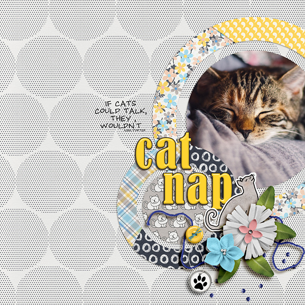 Cat Nap