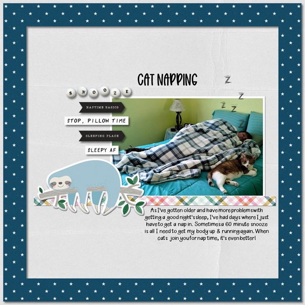Cat Napping
