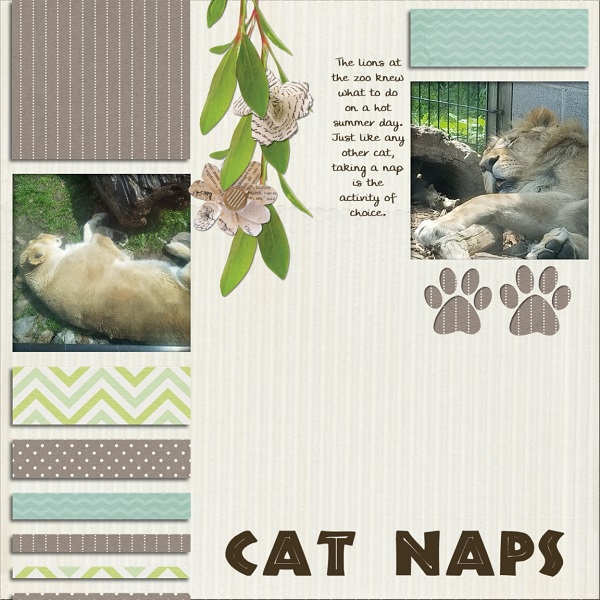 Cat Naps