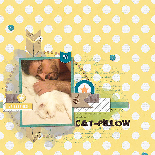 Cat-Pillow