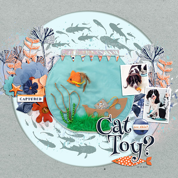 Cat Toy?