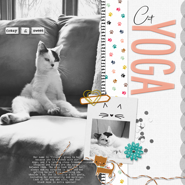 Cat Yoga
