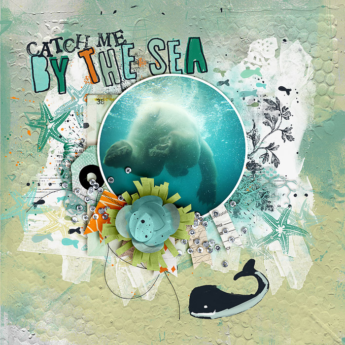 Catch me by the sea