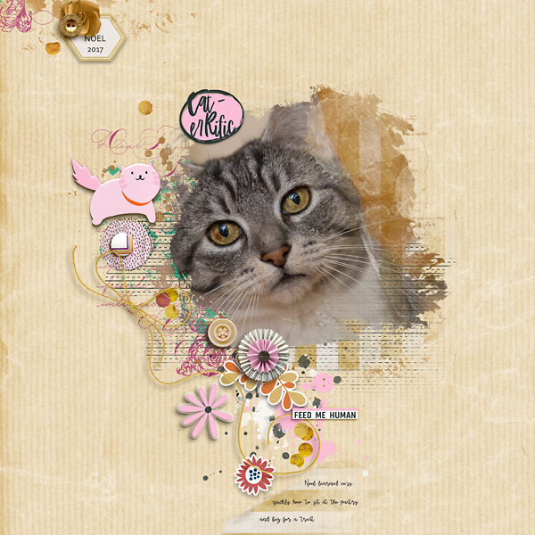 Caterrific