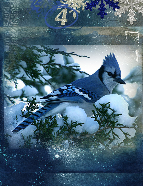 cath aj4 memory evergreens