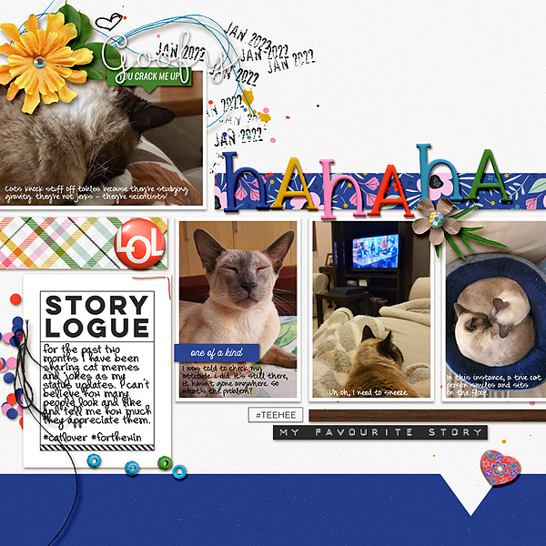 CatHumour