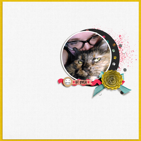 Catlover_scrapliftNOV18