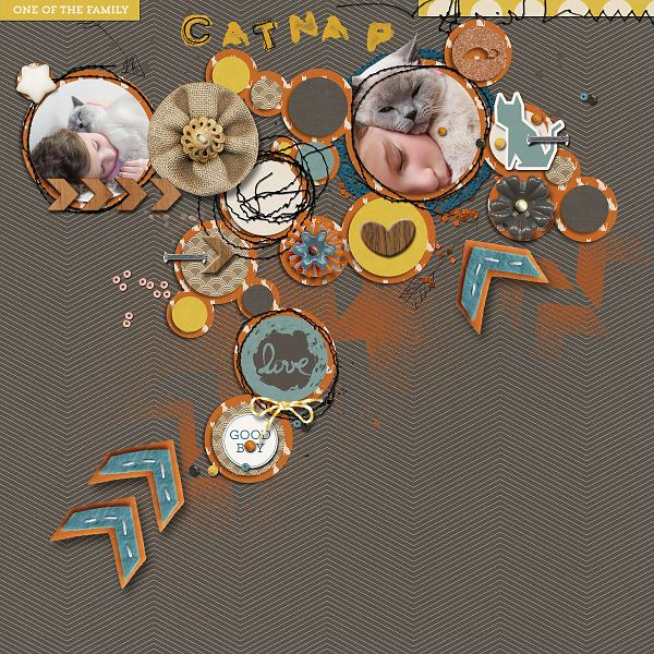 Catnap