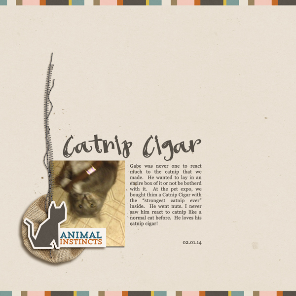 Catnip Cigar