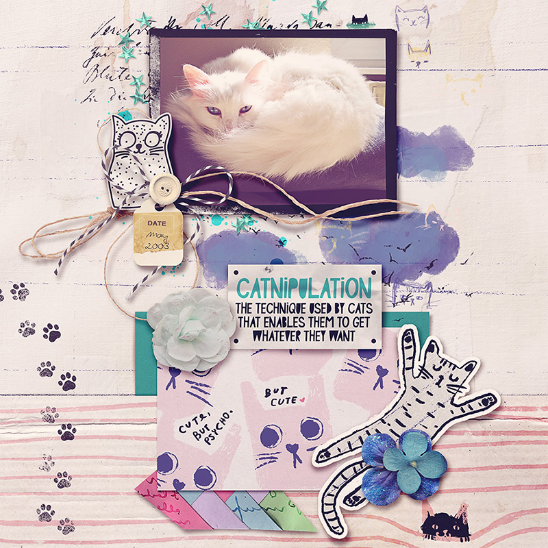 catnipulation