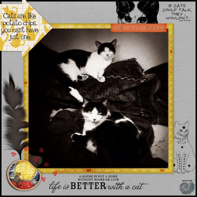 CATS ARE LIKE POTATO CHIPS [Speed Scrap for MOC day 18]
