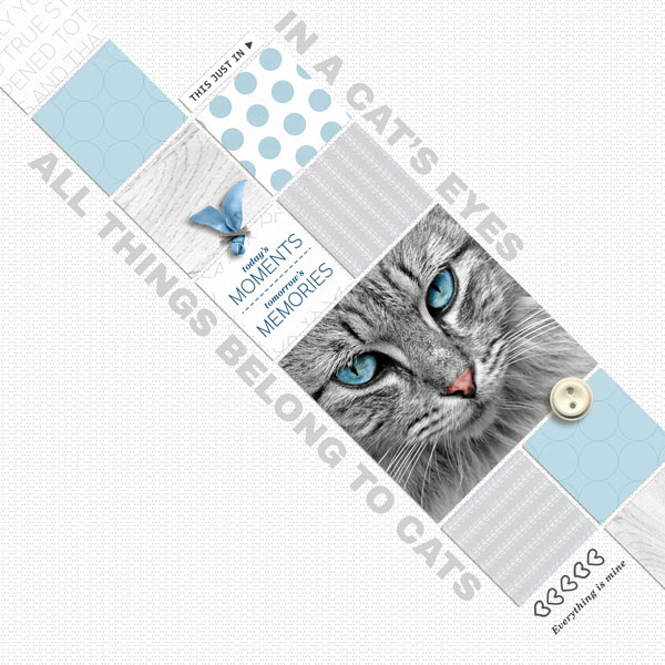 Cat's Eyes_sahlinstudio