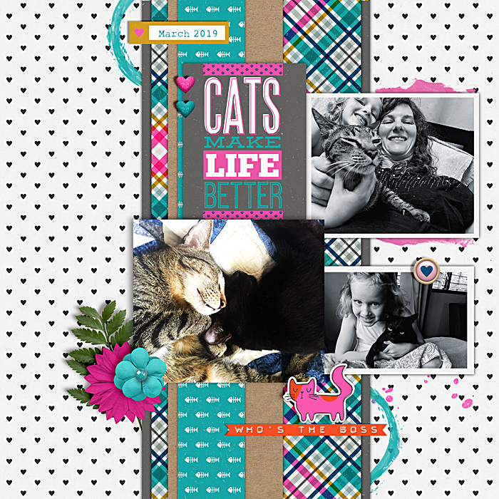 Cats Make Life Better