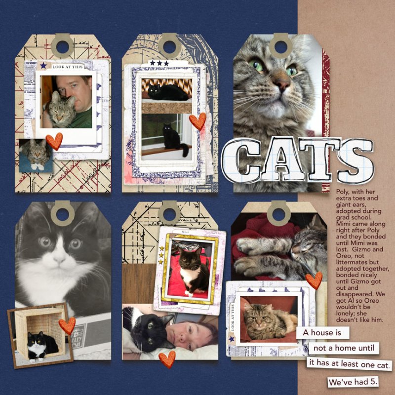 Cats MOC8 Day 10