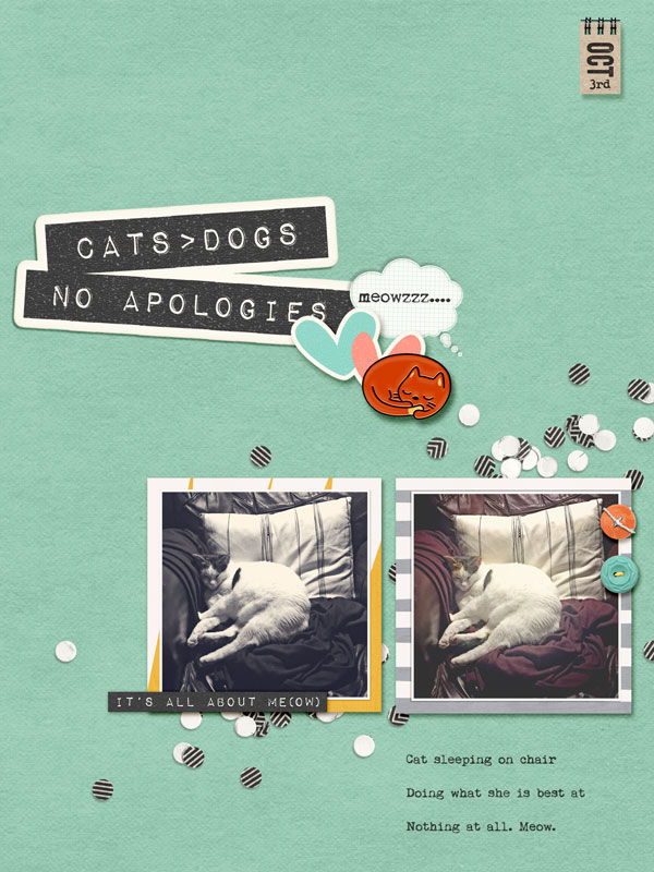 Cats Rule
