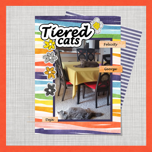 Cats Slow Speed Scrap 5.5 Web