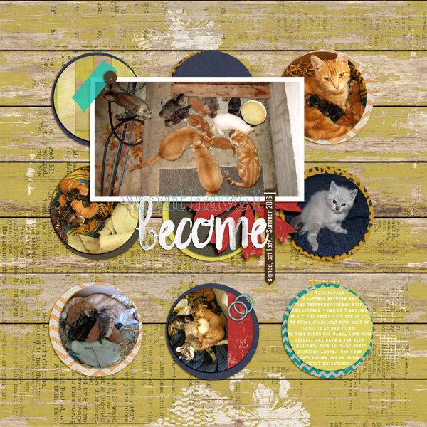 Cats-speed-scrap