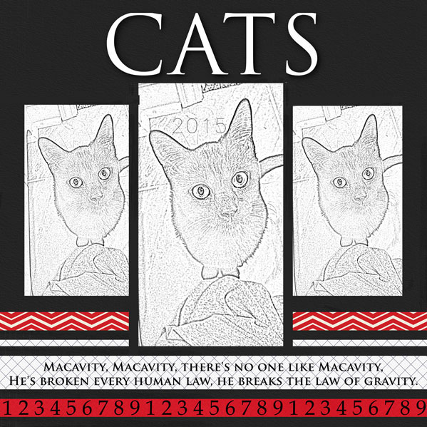 Cats