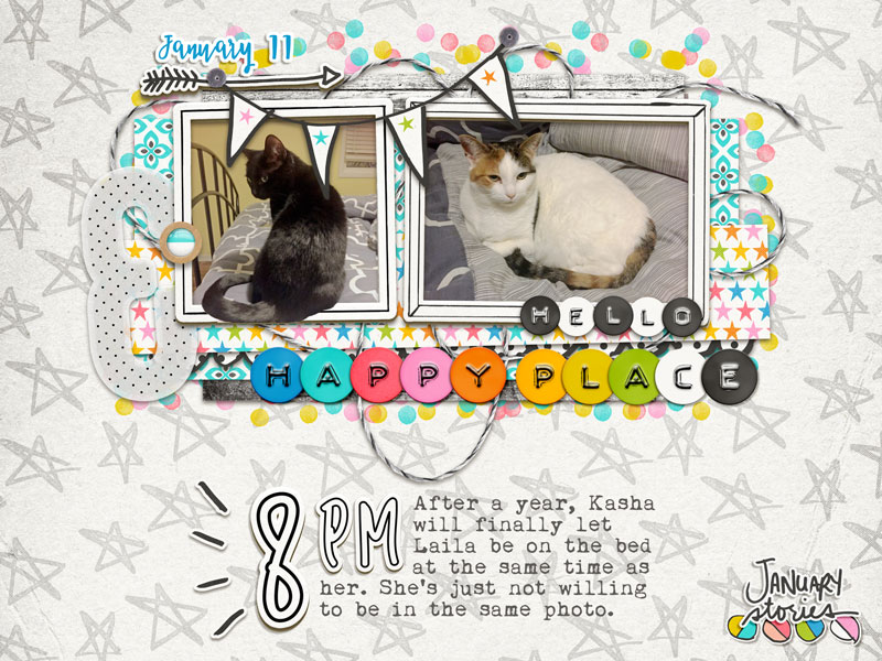Cats